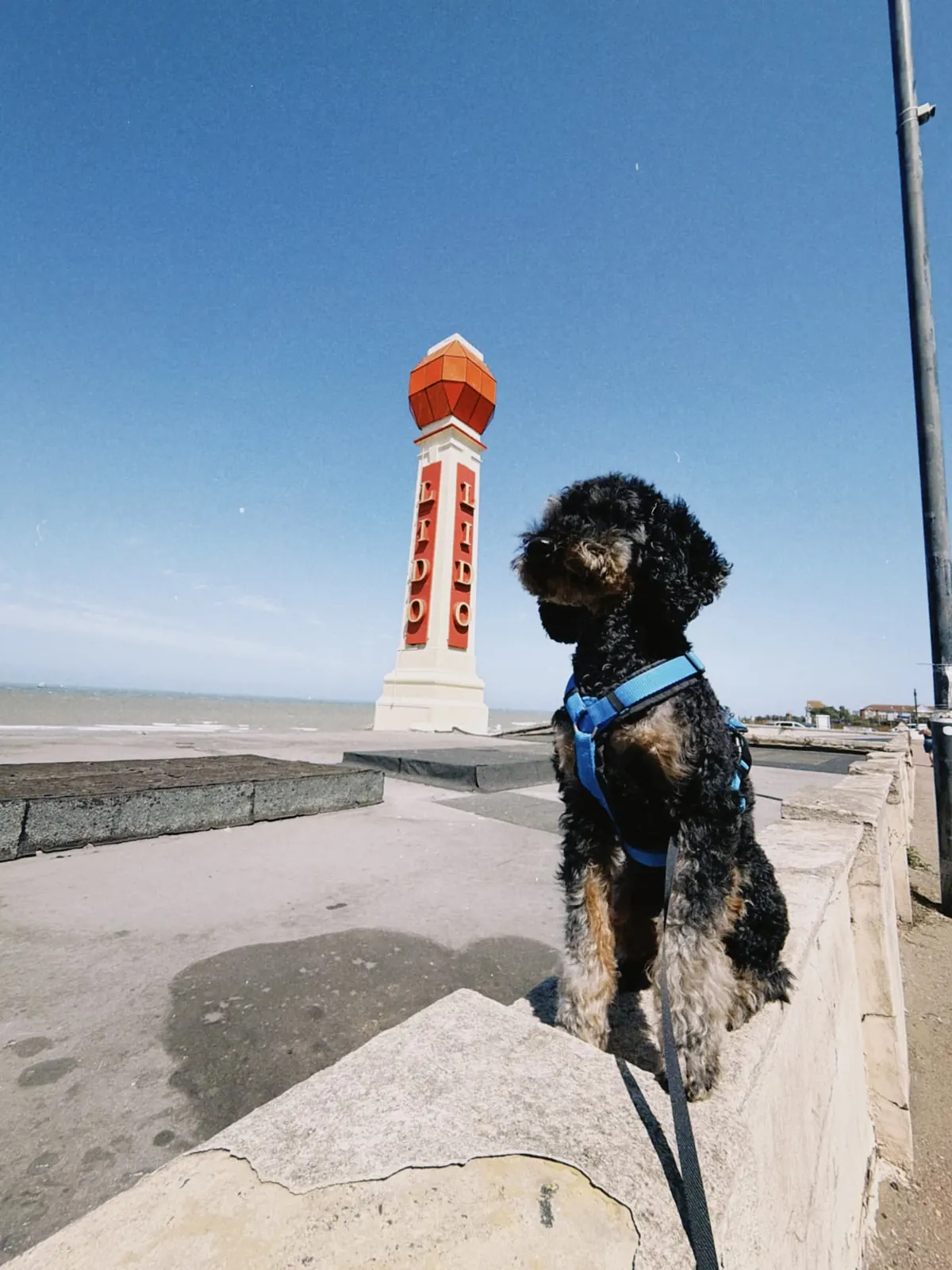 Barry sitzt vor dem roten Lido-Turm am Meer